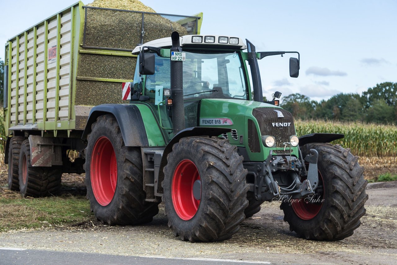 Bild 117 - Maisernte